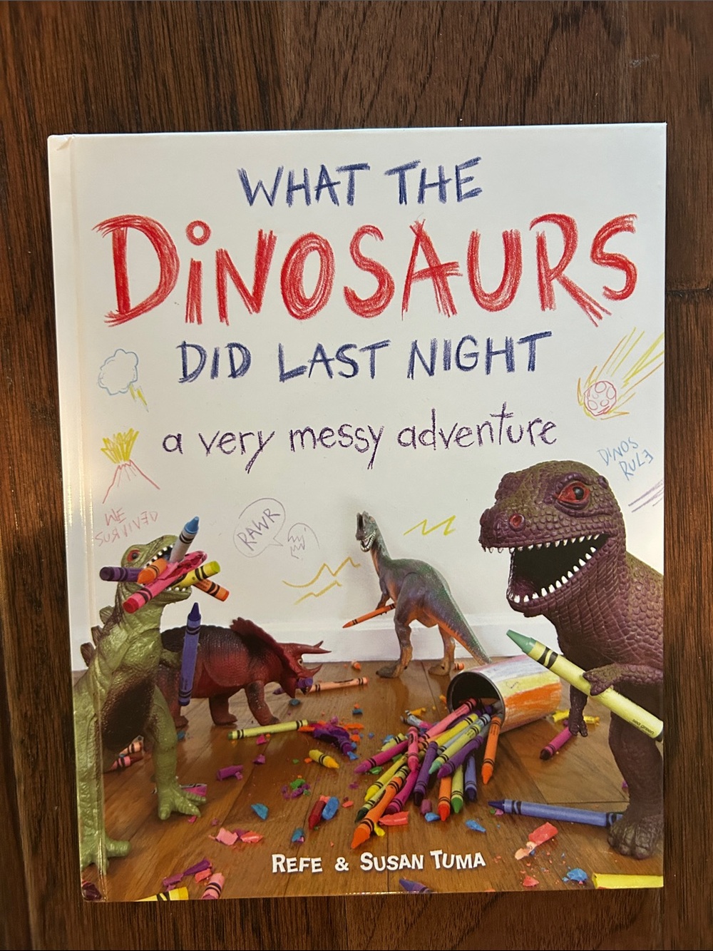 What the Dinosaurs Did Last Night Kids Book